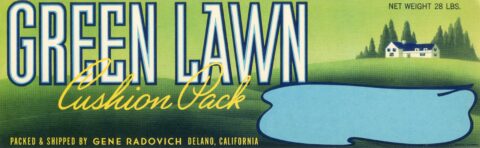 Green Lawn 
